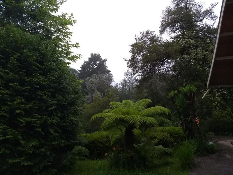 Recantto do Divino B&B - image 8