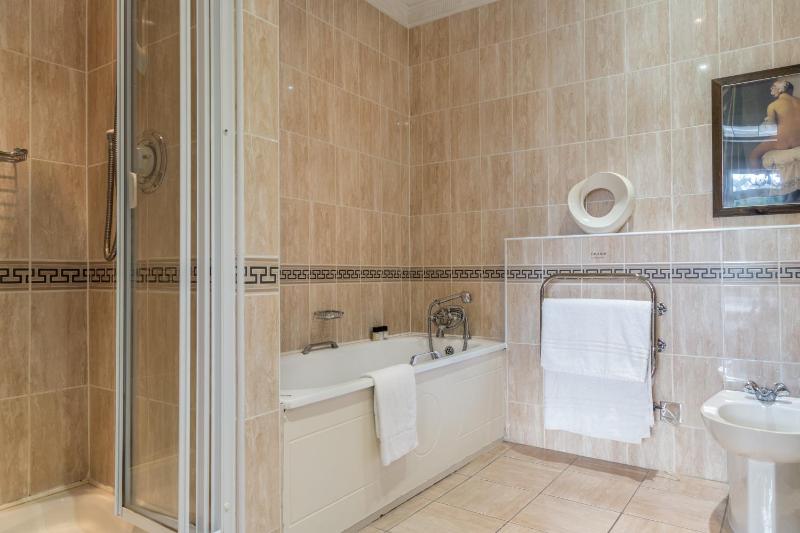 Deluxe Suite - No balcony access image 2
