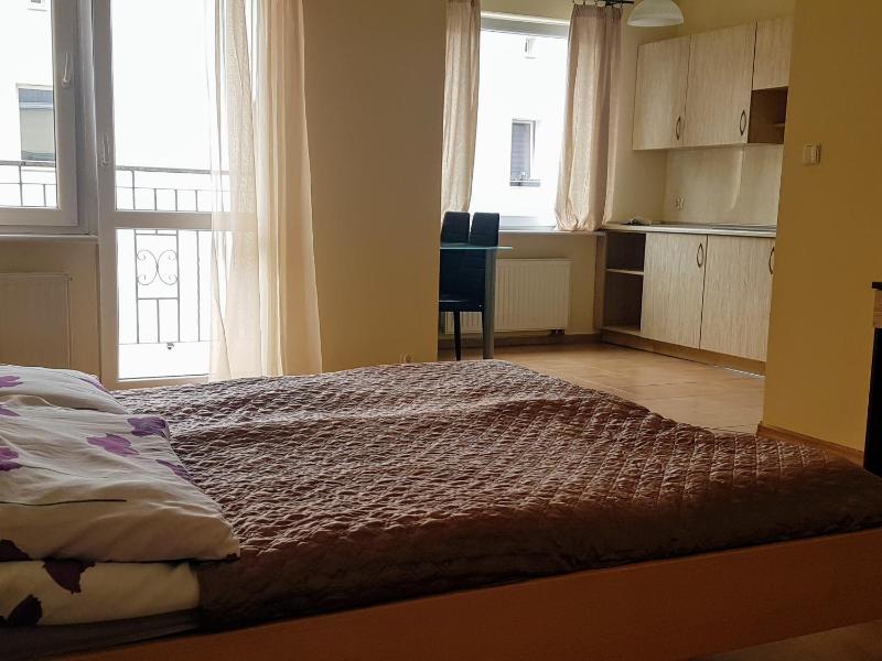 Studio Apartment image 4