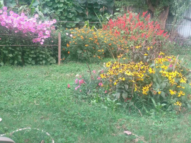 Alamdar guest house - image 13