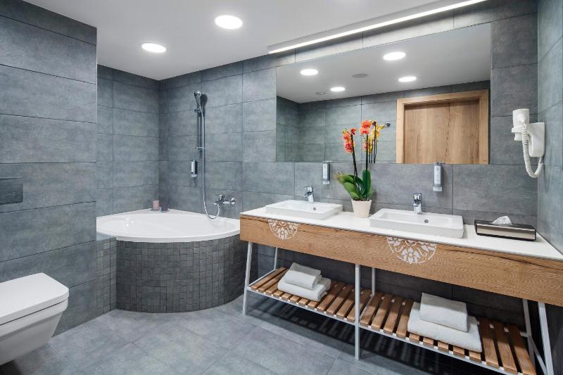 Mountain View Suite with 1 double bed (without access to the thermal baths) image 3