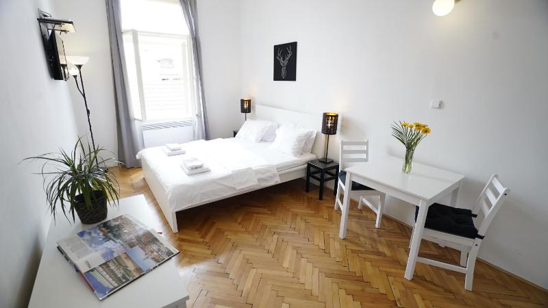 Studio Apartment image 4