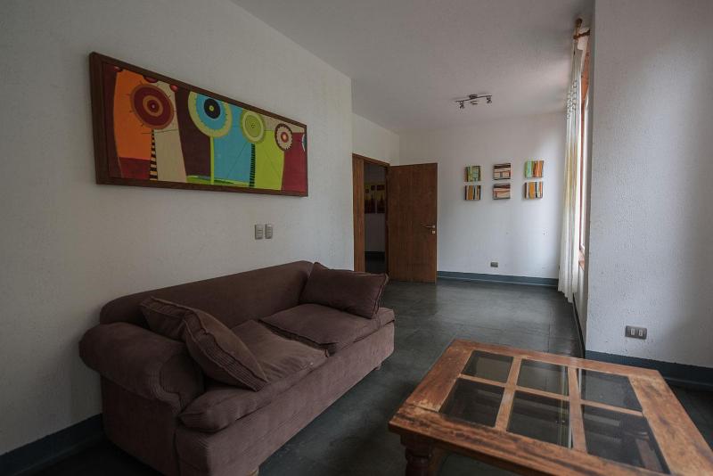 Centrico departamento en Pucon - image 2