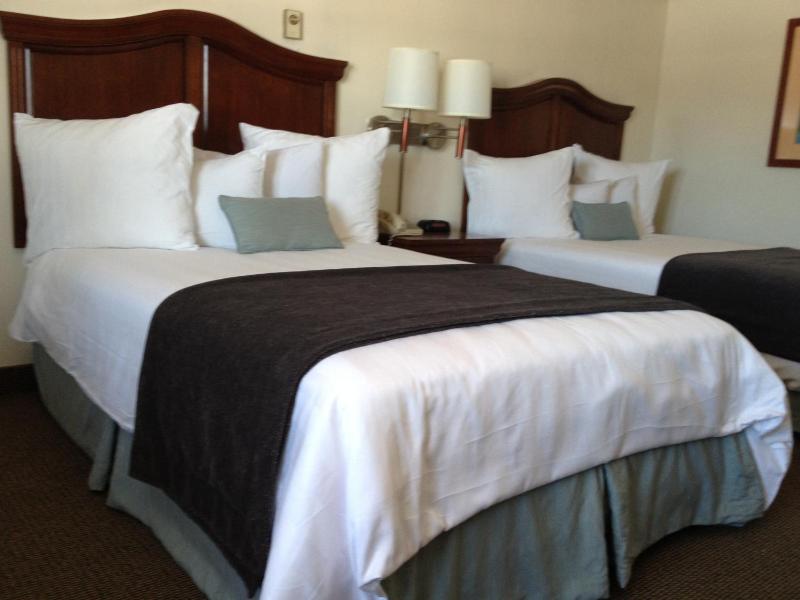 Standard Double Room with Two Double Beds image 3