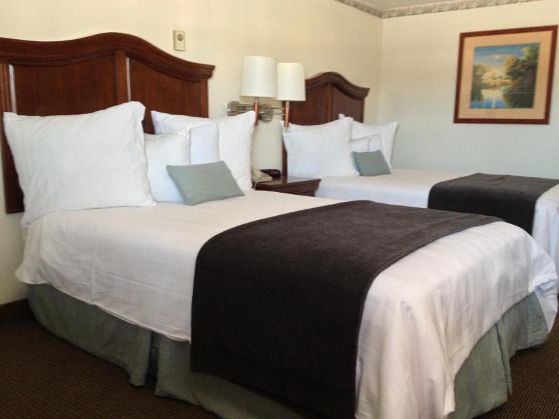 Standard Double Room with Two Double Beds image 2