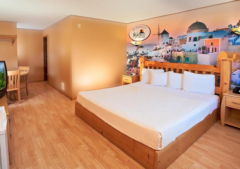 Resort Room 1 Queen image 4