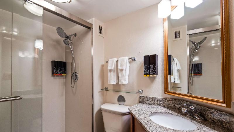 Double Room - Non-Smoking  image 4