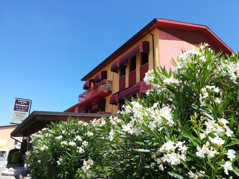 Hotel Primavera - image 23