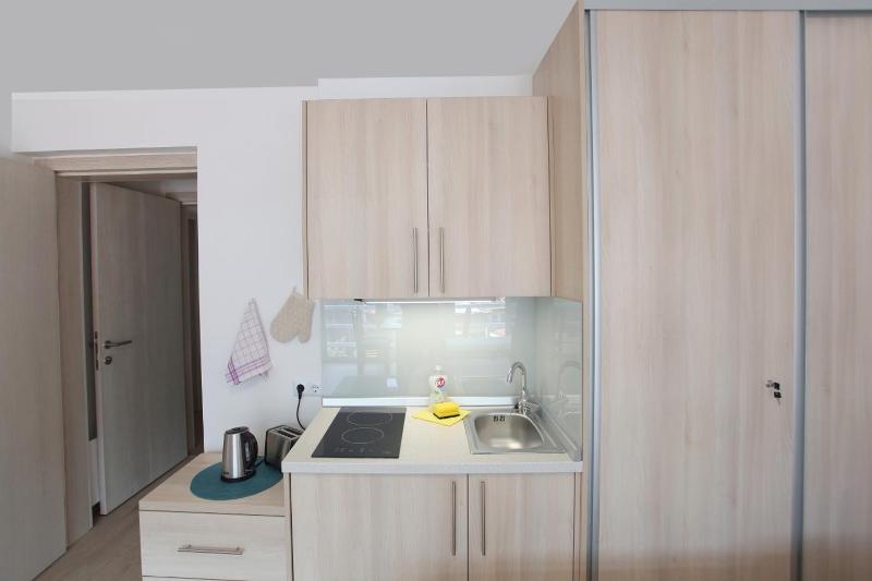 Deluxe Bellevue Apartments - image 10