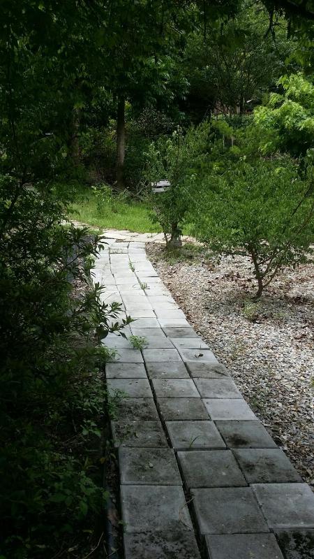 Bright Moon Homestay - image 35