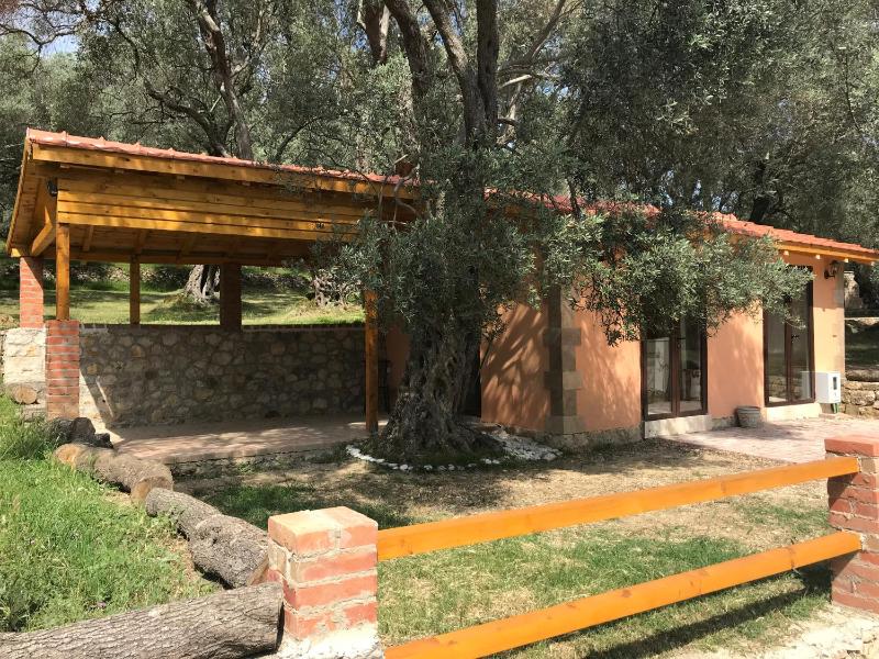 Olive Paradise - image 1