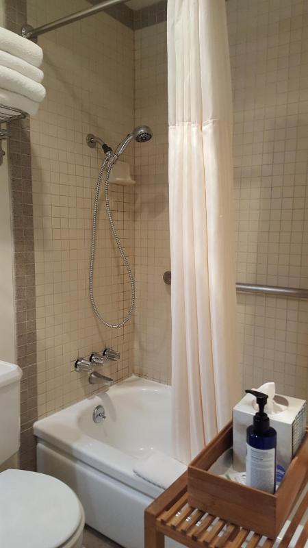 Suite with River View image 4