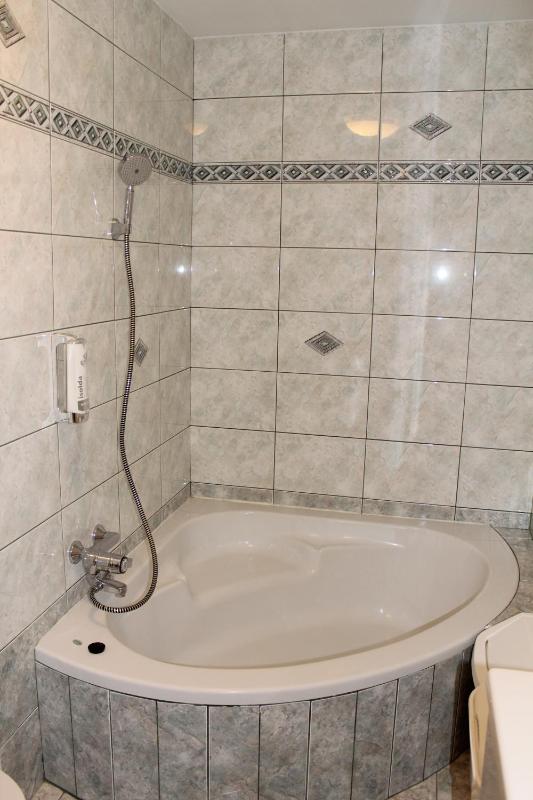 Two-Bedroom Apartment image 4