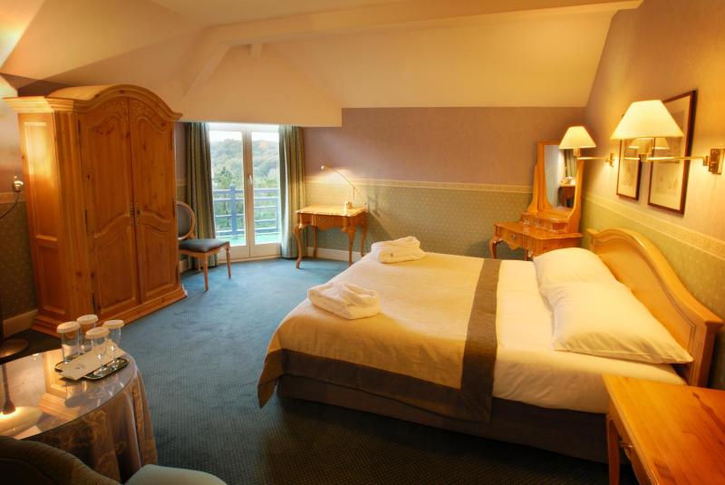Comfort Double Room image 4