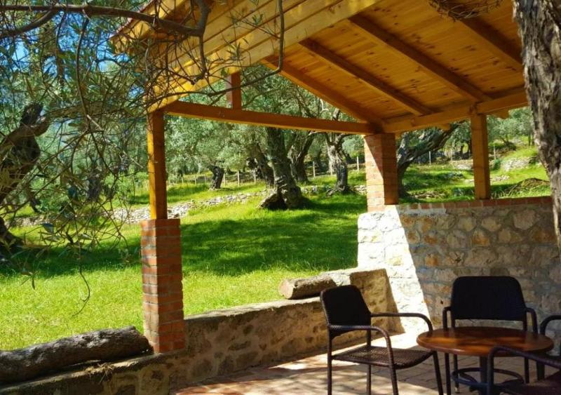 Olive Paradise - image 14