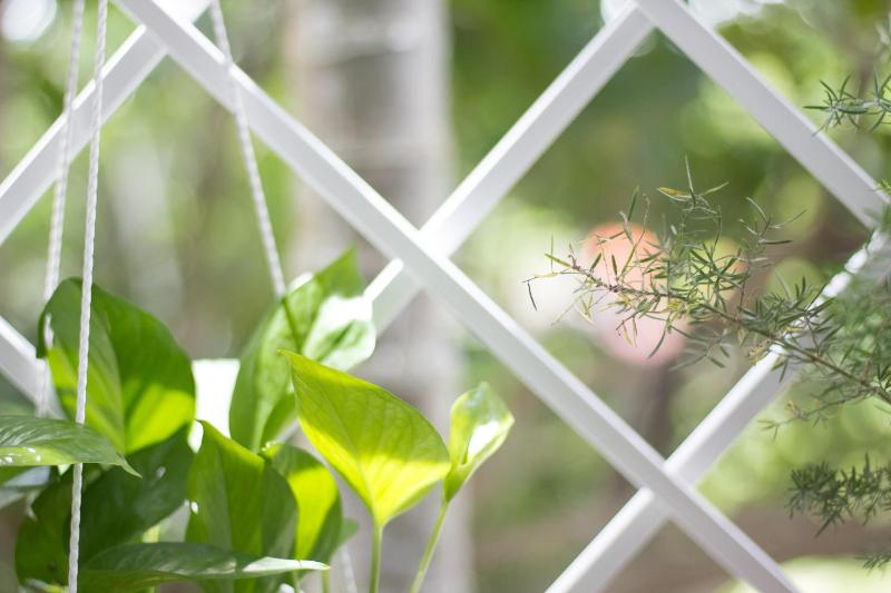 Bean Grass Homestay - image 6