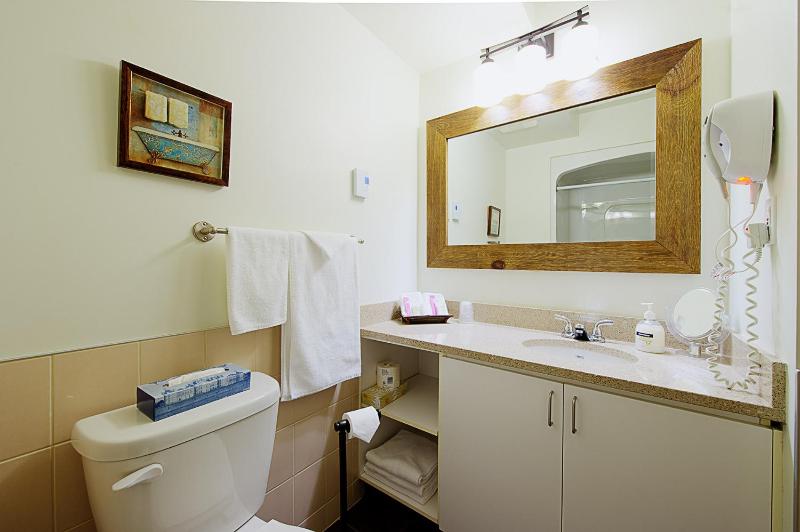 Hotel Vacances Tremblant - image 17