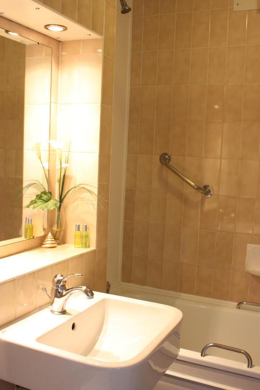 Superior Double Room image 2