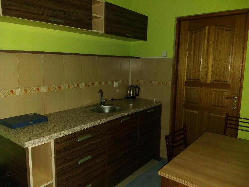 One-Bedroom Apartment image 4