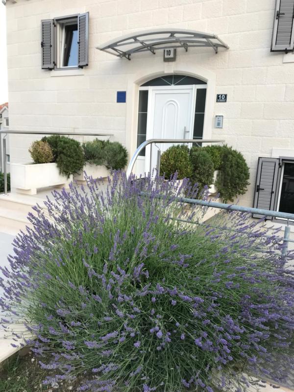 Apartments Lovely Croatia - image 37