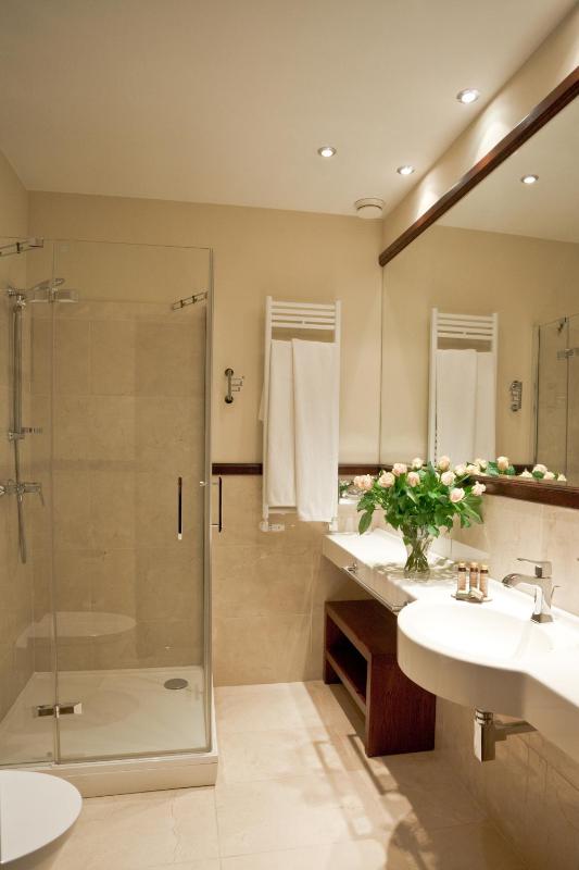 Standard Double or Twin Room in Rządcówka building image 1