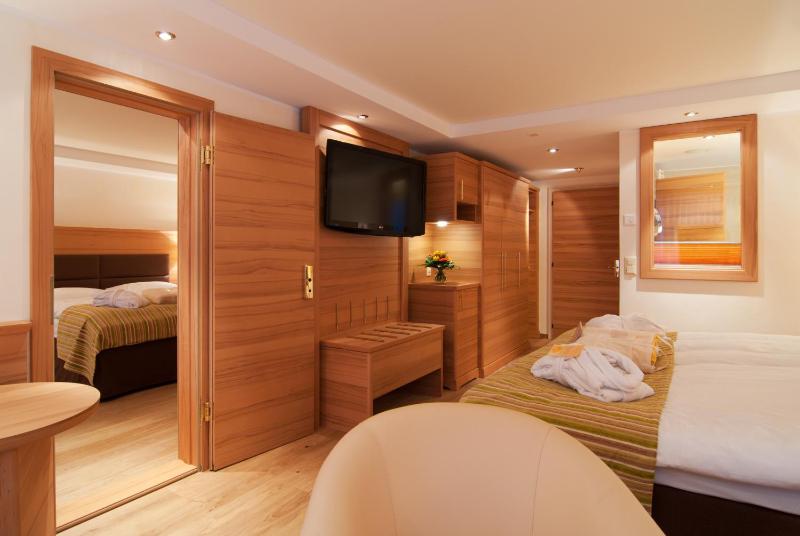 Standard Apartment with partial Matterhorn View image 4