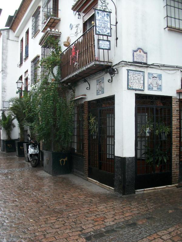 la castanuela albayzin - image 9