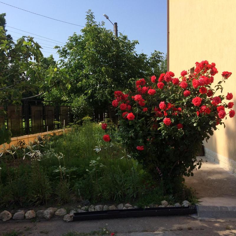 Vila Patricia - image 39