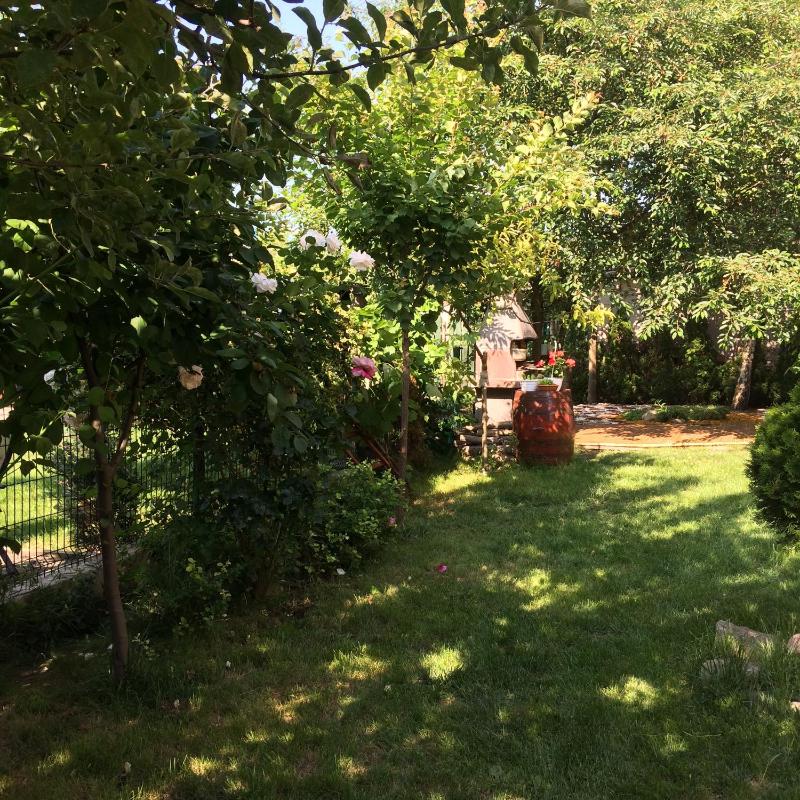 Vila Patricia - image 11