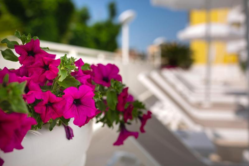 International Beach Hotel - image 42