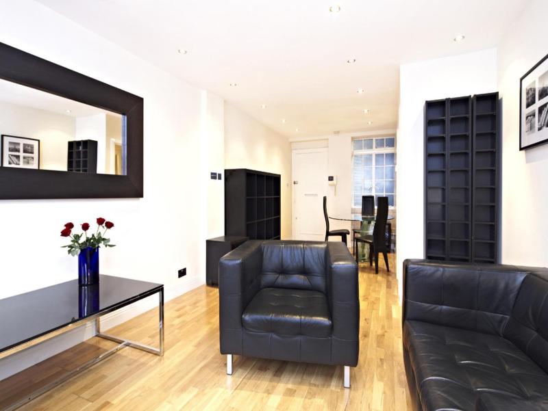 One-Bedroom Apartment image 4