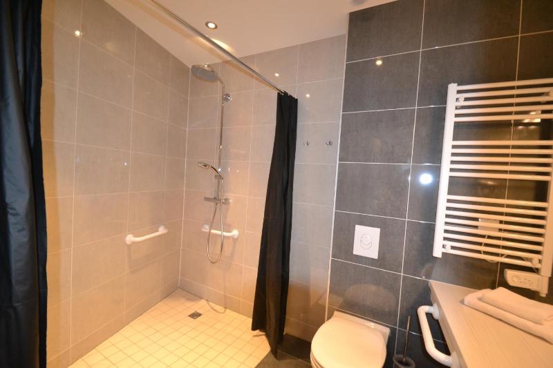 Deluxe Room  (disability access)  image 1