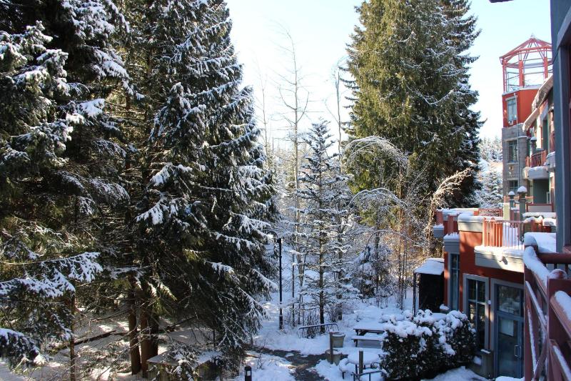 Alpenglow Lodge by MVA - image 42