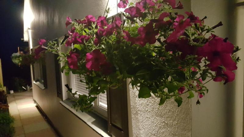 Holiday Home image 1