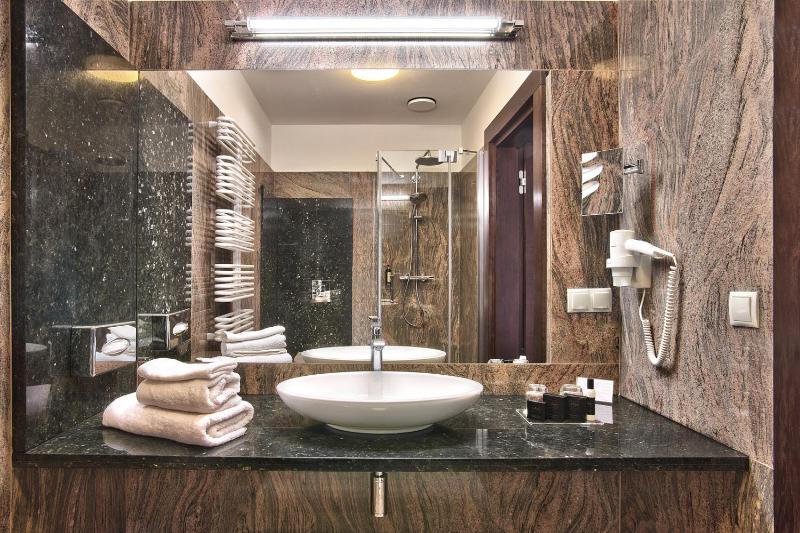 Deluxe Double or Twin Room image 4