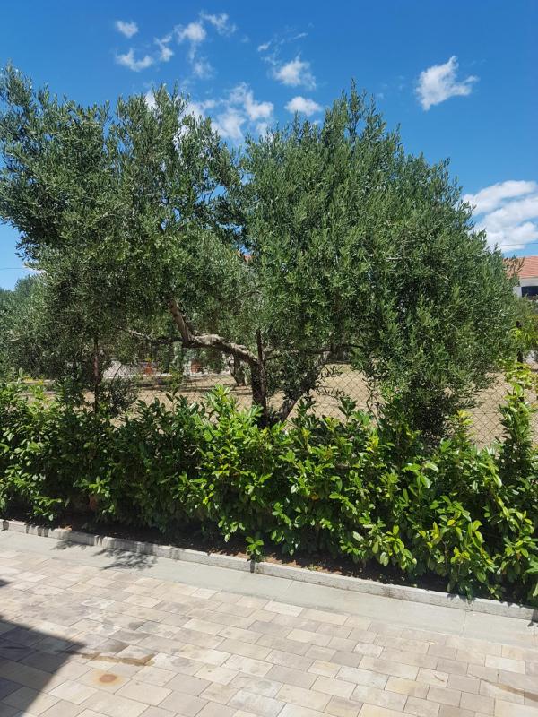 Apartment with Sea View image 3