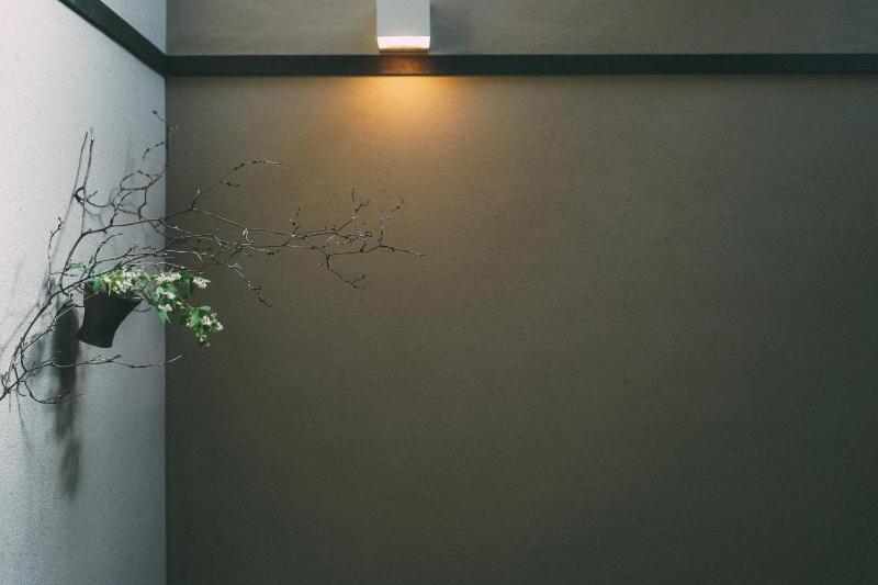 Wuz Kamogawa - image 12