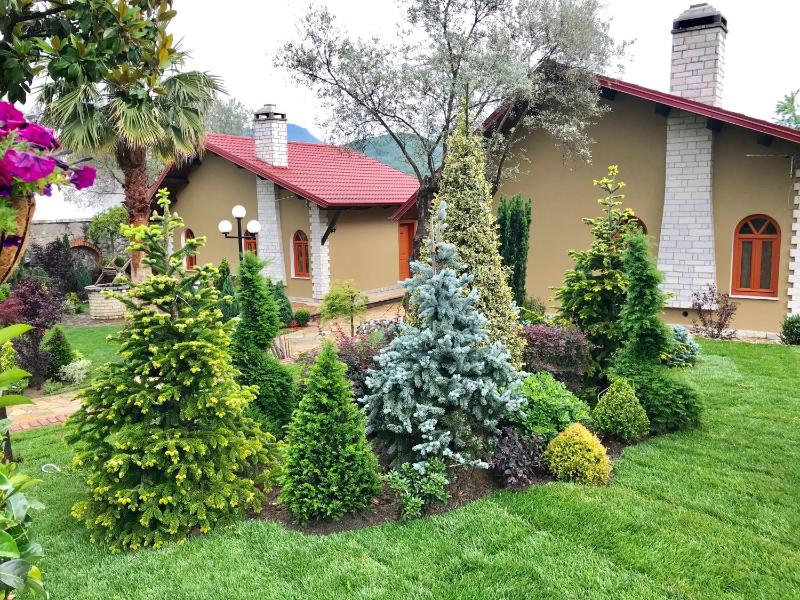 Superior Villa image 3