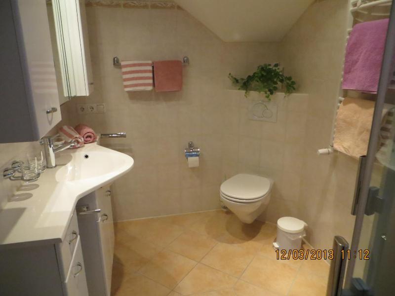 Standard One-Bedroom Apartment with Balcony image 4