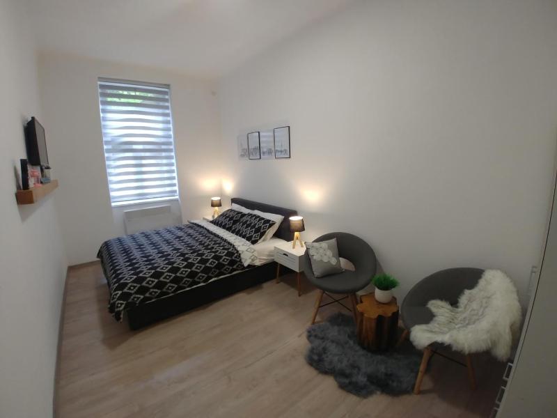 One-Bedroom Apartment image 4