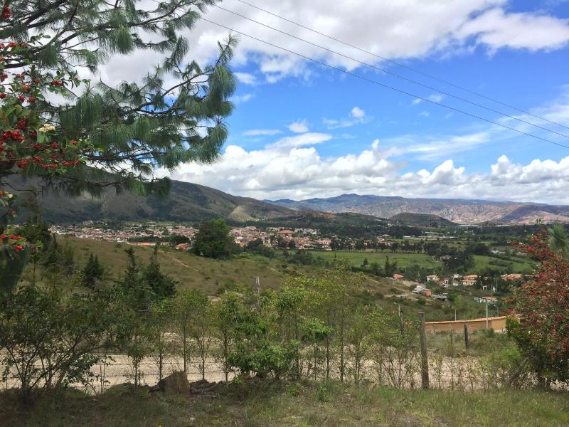 Cabaña La Elvira - image 9