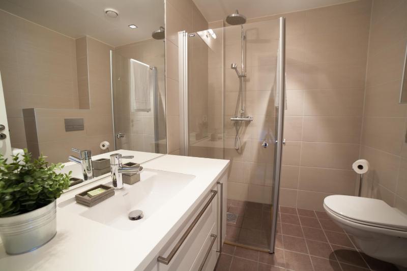 One Bedroom Apartment with Sofabed image 2