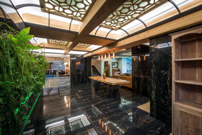Anesis Blue Boutique Hotel - image 5