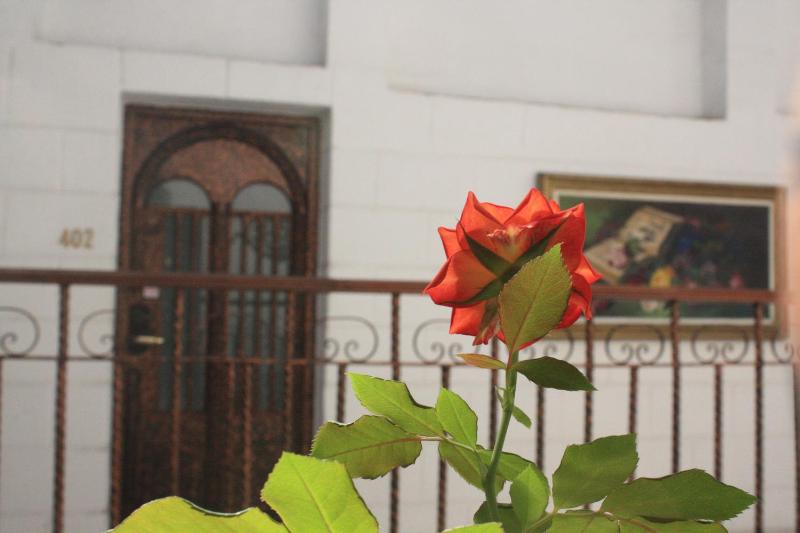 Casa de la Luna - image 37
