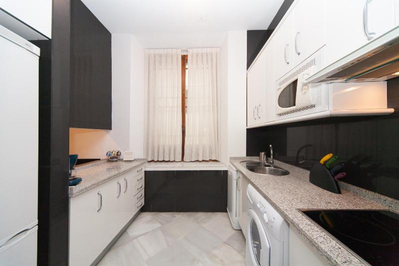 La Casa del Conde de Gelves Apartments - image 2