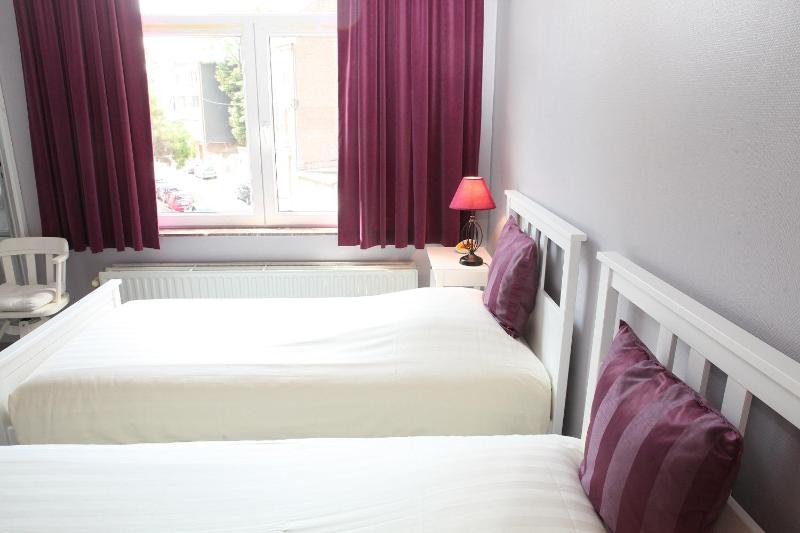Twin Room image 1