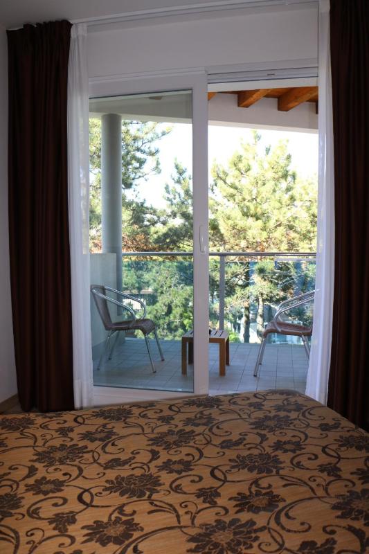 Deluxe Double Room image 2