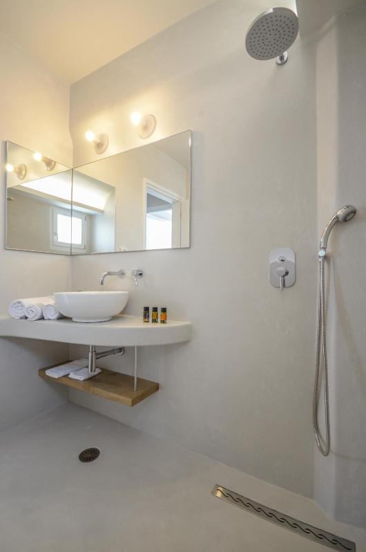 Deluxe Suite image 2