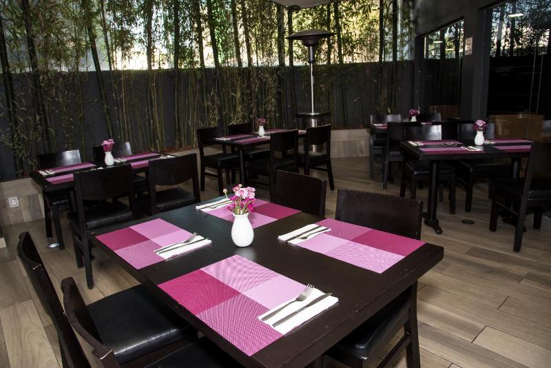 LaiLa Hotel CDMX - image 12