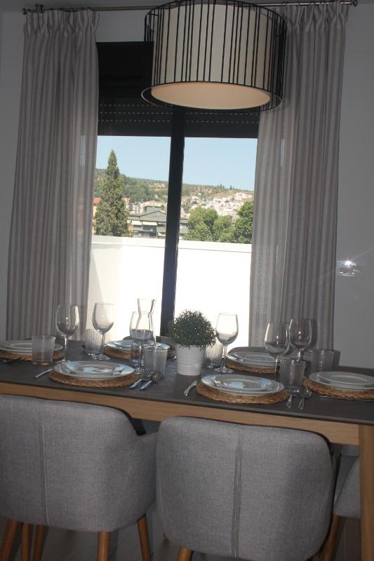 Penthouse Apartment image 4